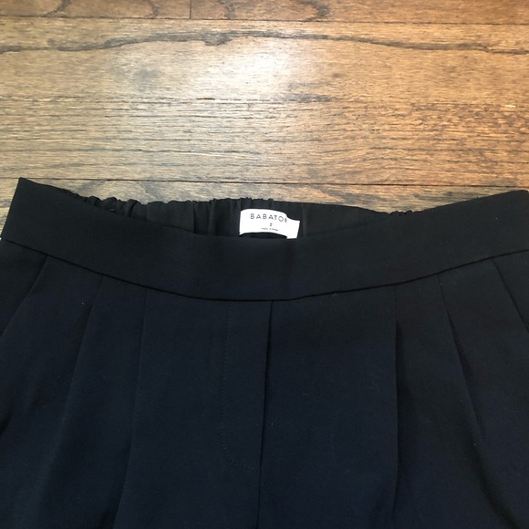Aritzia babaton cohen pant terado - Picture 5 of 5